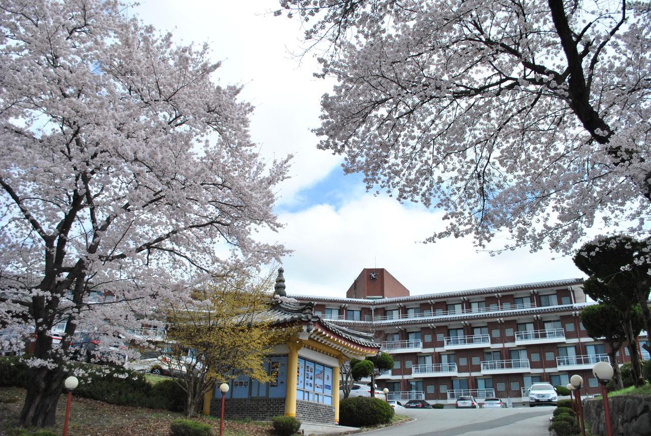 Corea Condo Gyeongju Exterior foto