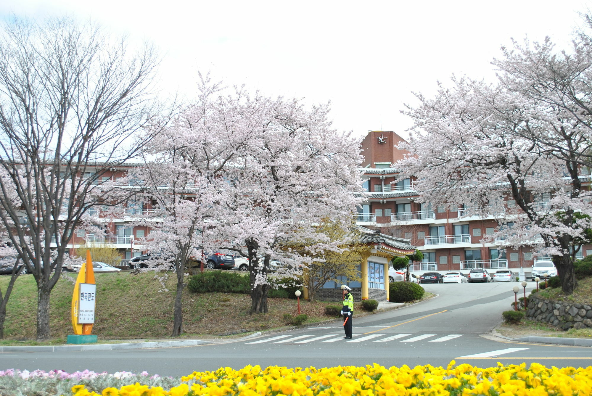 Corea Condo Gyeongju Exterior foto